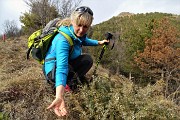 56 In alto la Croce del Pizzo Rabbioso, in mano bacche di ginepro